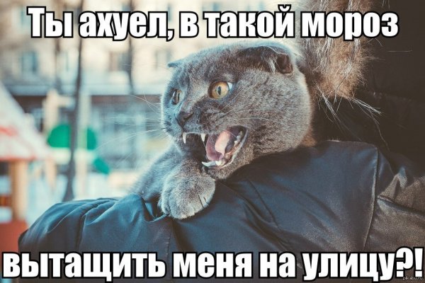 Смешные картинки с матом