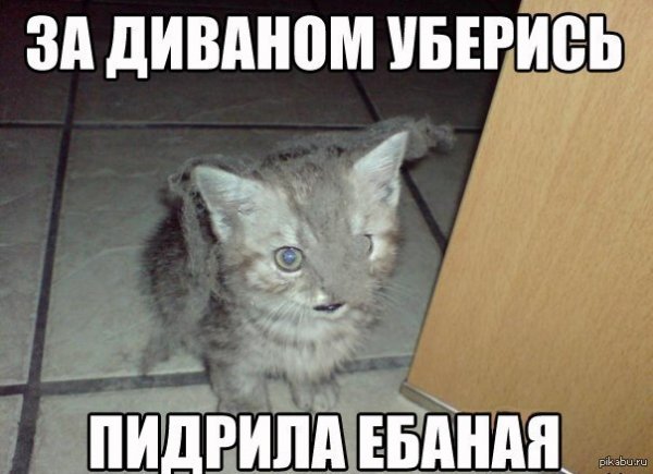 Смешные мемы с матом