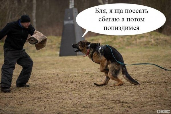 Кинолог прикол