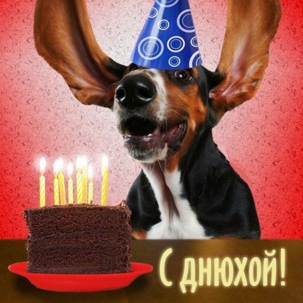 С днюхой!