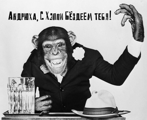 Андрюха с днюхой