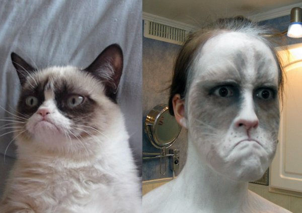 Отфотошопленный кот