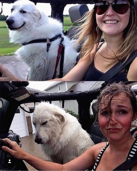 Фотоприколы из жизни