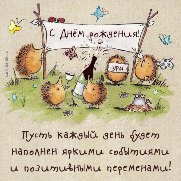 Смешные поздравления с днем рождения