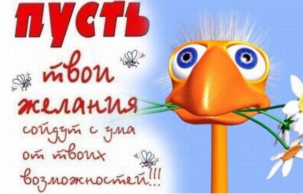 Смешные пожелания