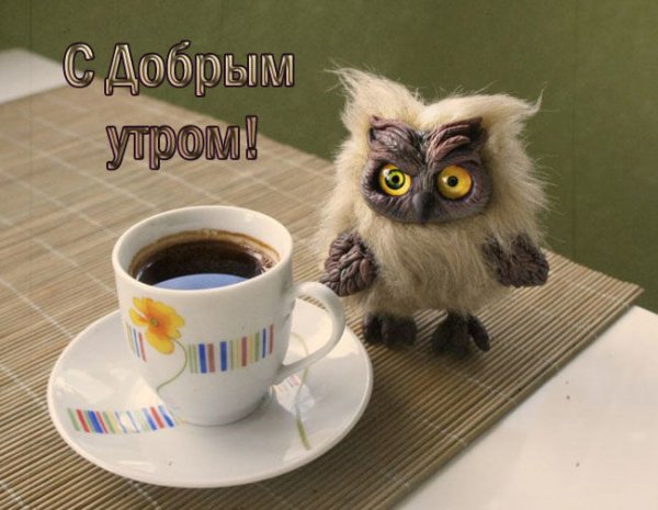 Доброе утро Сова с кофе