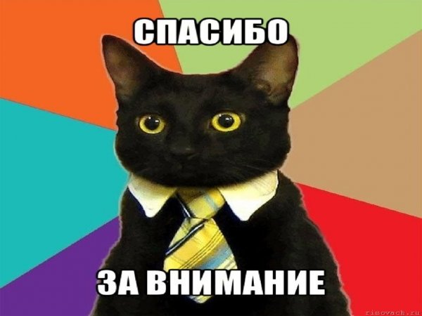 Благодарю за внимание кот