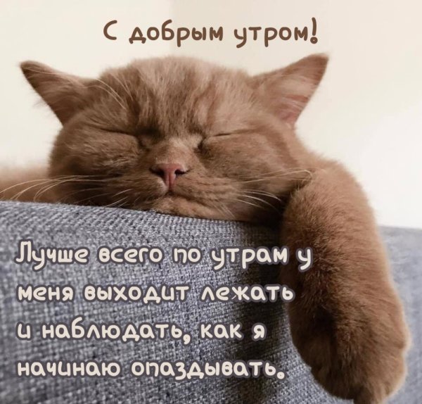 Утро картинки с надписями