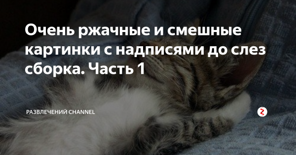 Прикольные картинки с надписями ржачные про жизнь косячную