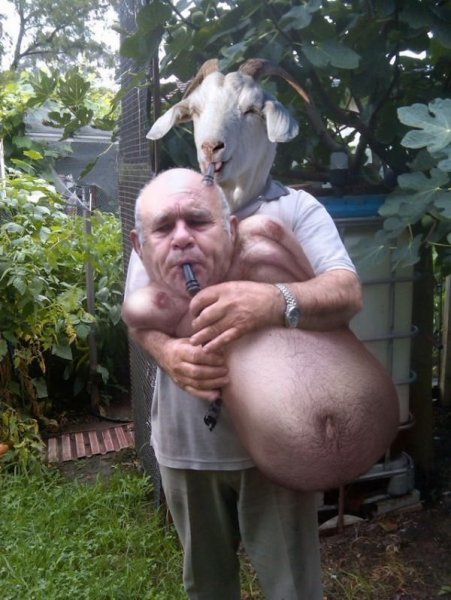 Угарные животные