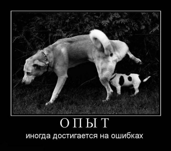Демотиваторы со смыслом