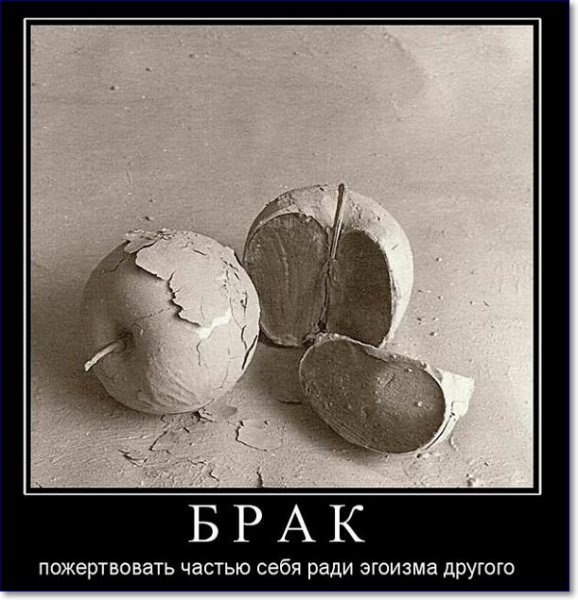 Приколы со смыслом
