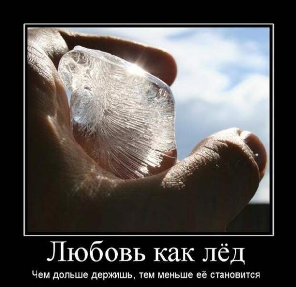Смешные цитаты со смыслом