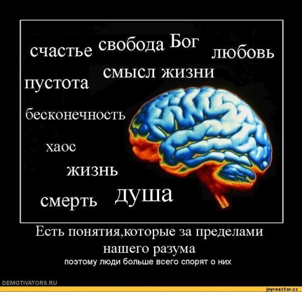 Прикольные афоризмы в картинках