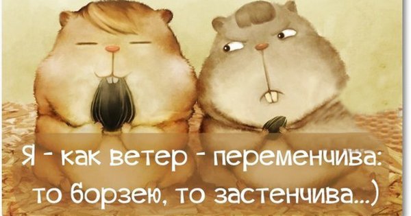 Смешные картинки со словами