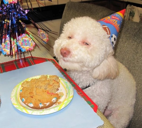 Самый веселый день рождения