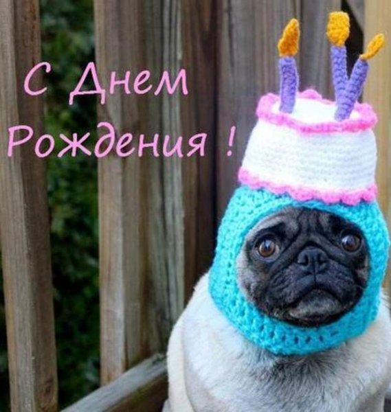 С днем рождения самые смешные