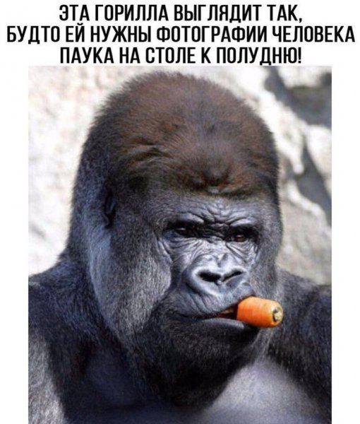 Горилла Олег
