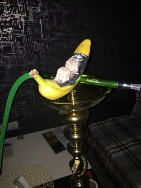 Кальян на кактусе