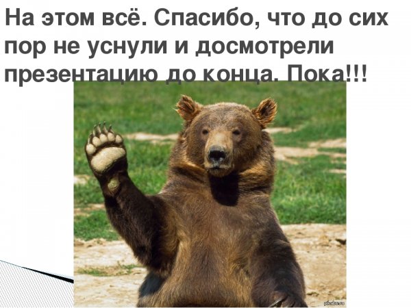 Обезьяна с букетом