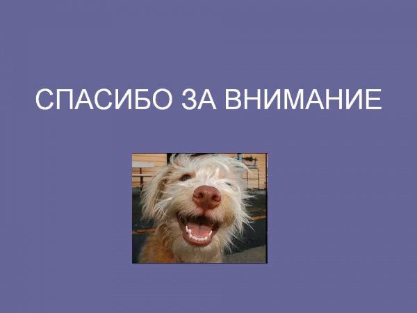 Ты молодец