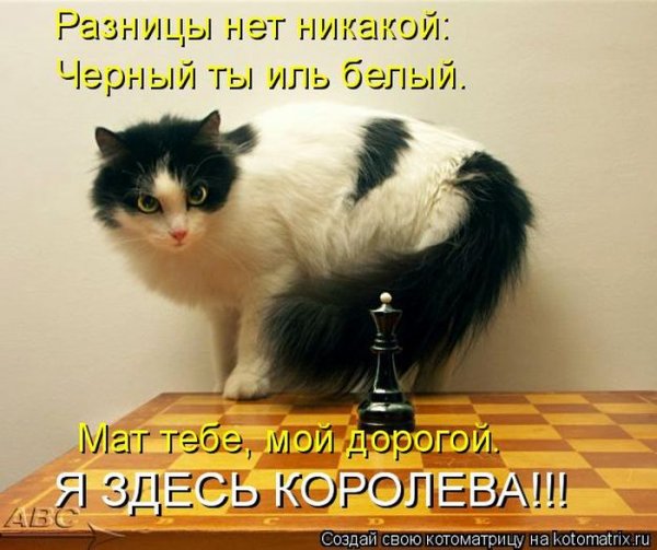Юморные животные с матом