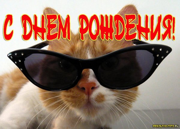 С днем рождения прикол