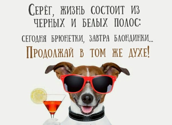 Веселые поздравления