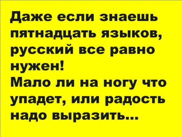 Афоризмы смешные до слез