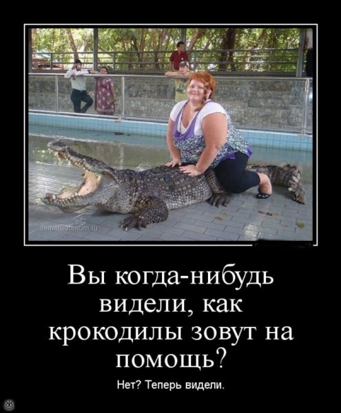 Очень смешные демотиваторы