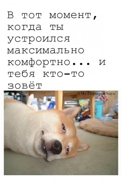 Смешные картинки с надписями до слёз