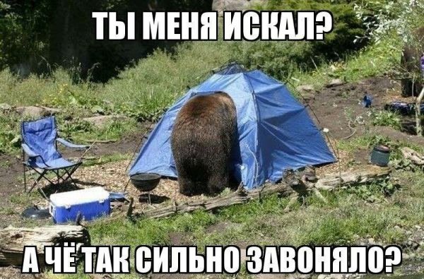 Смешные картинки с надписями для поднятия