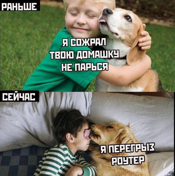 Мемы с надписями ржачные