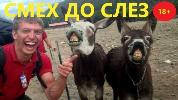Приколы 2021 года смех
