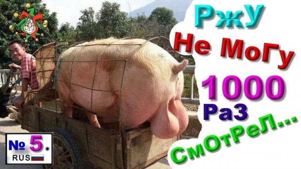 Ржачные приколы до слёз