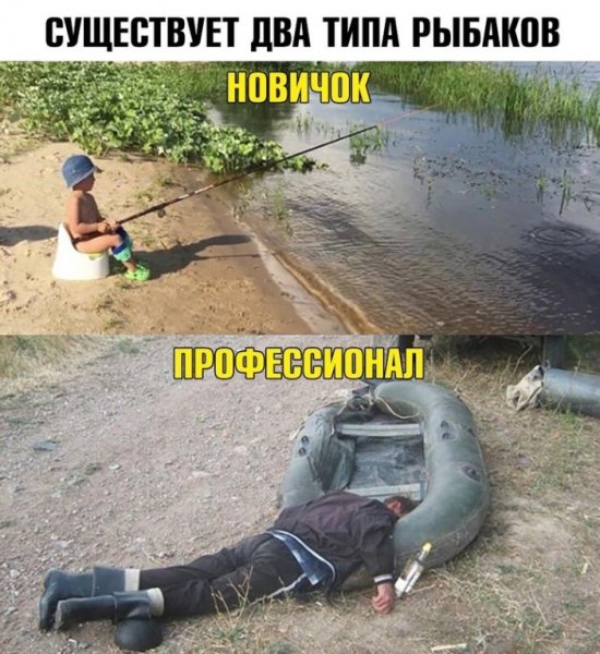 Прикольные картинки приколы