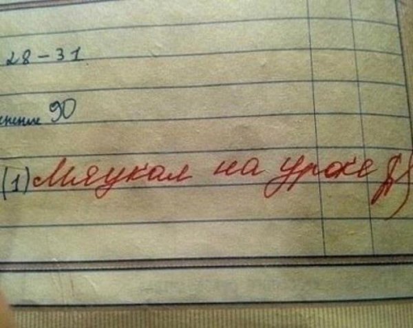 Смешные замечания в школьных дневниках