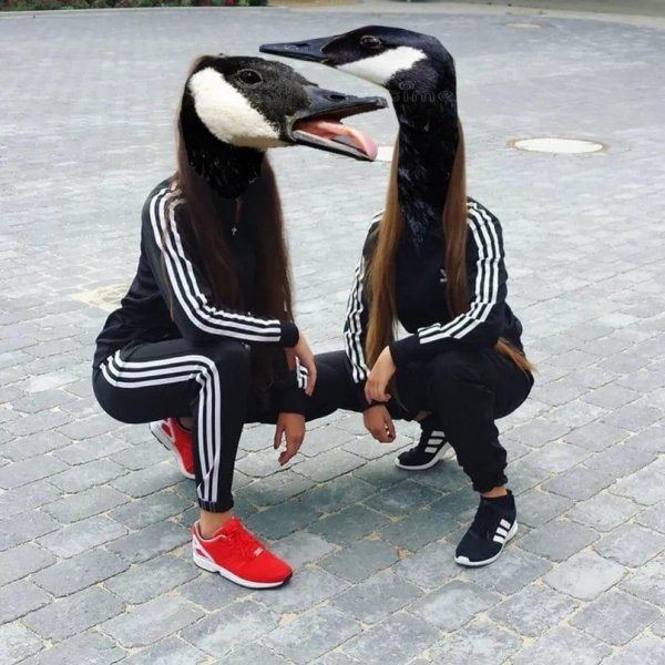 Смешные гопники