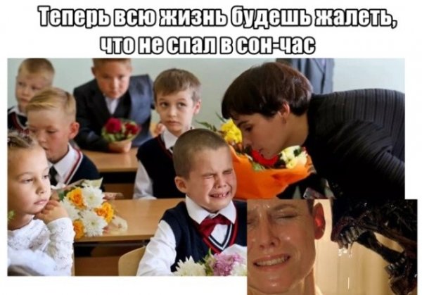 Школа прикольные