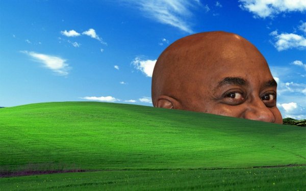 Смешной фон для фотошопа