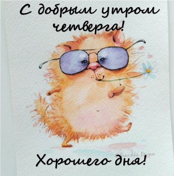 Доброе утро четверга