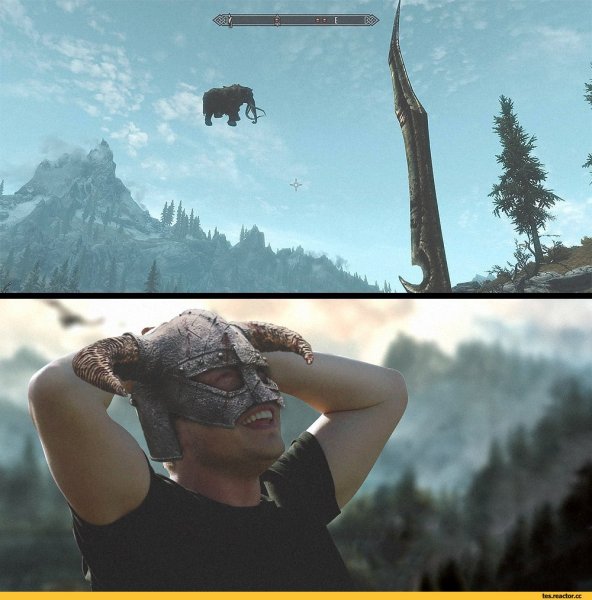 The Elder Scrolls v Skyrim мемы