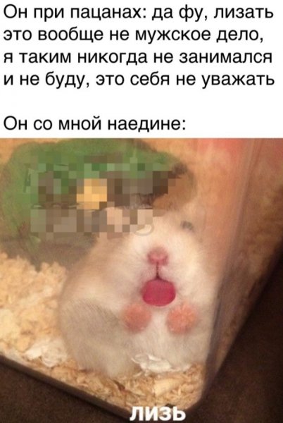 Упоротые хомяки