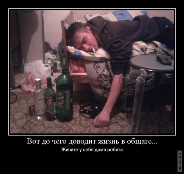 Демотиваторы про алкоголь