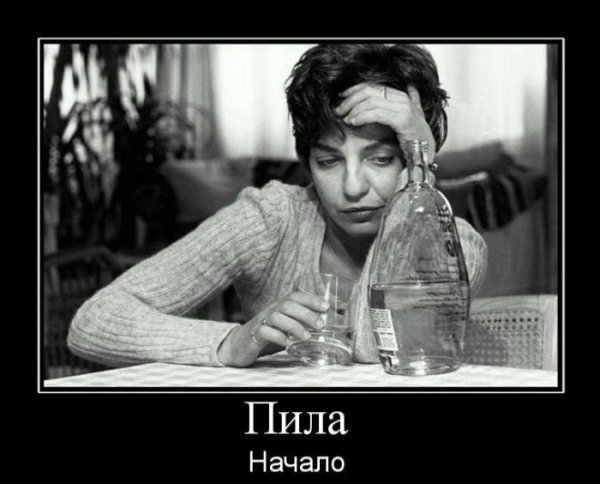 Приколы про алкоголь