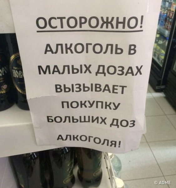 Смешные фразы про алкоголь и девушек