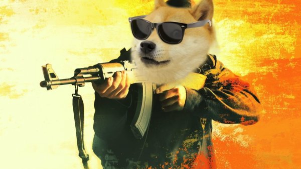 CS go собака
