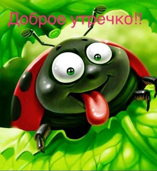 Доброе утро Божья коровка