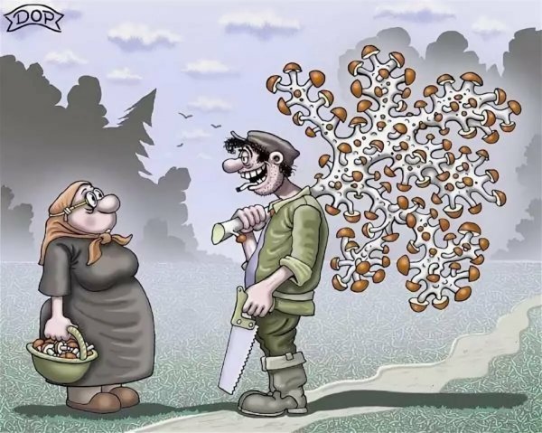 Грибы карикатура
