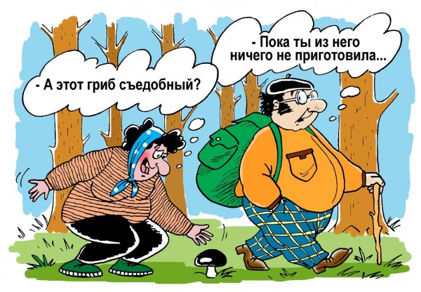 Анекдоты про грибы